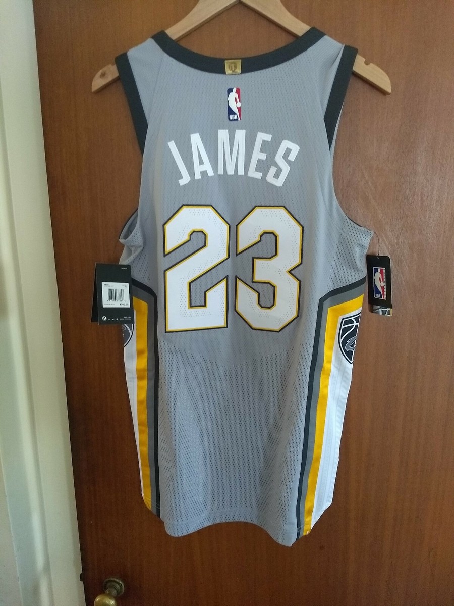 Nike LeBron James Cavs The Land Authentic Player Edition Jersey