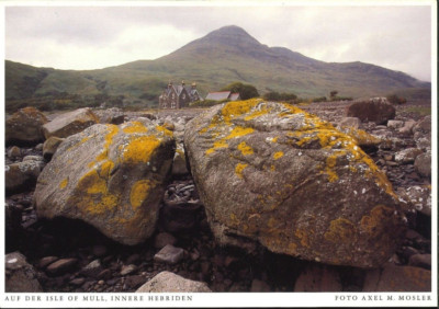 Great Britain - Großbritanien - Scotland - Argyll and Bute - Isle of Mull