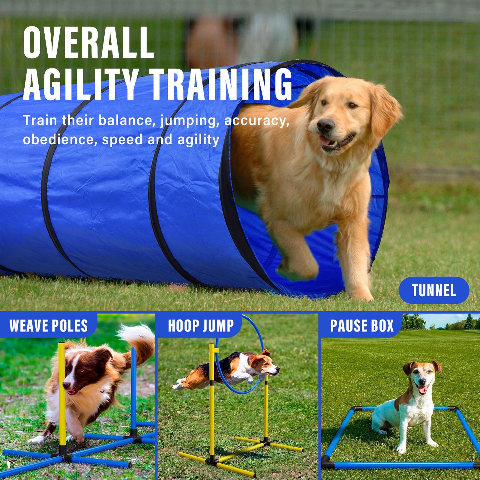 Dog Agility Training Kit Pet Obstacle Course Equipment Backyard 7pcs Set