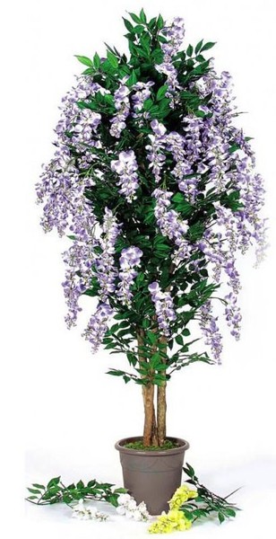 Artplants KüNstlicher Blauregen Malenka, NatüRliche StäMme, Lila, 225Cm-image