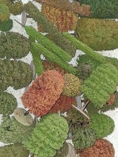 OO Gauge Trees Variety Pack Mixed woodland model trees 5cm - 15cm