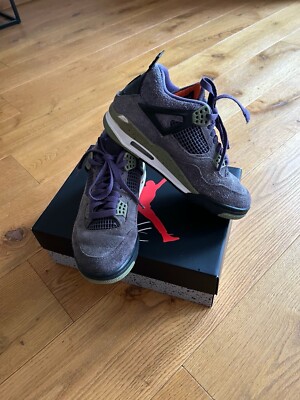 Nike Air Jordan 4 Retro Canyon Purple