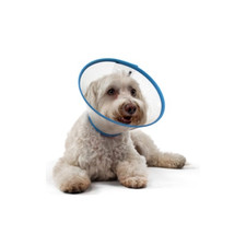 mVet QuickSnap Padded E-Collar Toy Breeds  Cats 7.5cm 3" 