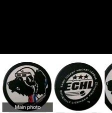 ARKANSAS RIVERBLADES ECHL VINTAGE MASCOT OFFICIAL GAME PUCK MADE IN CANADA 