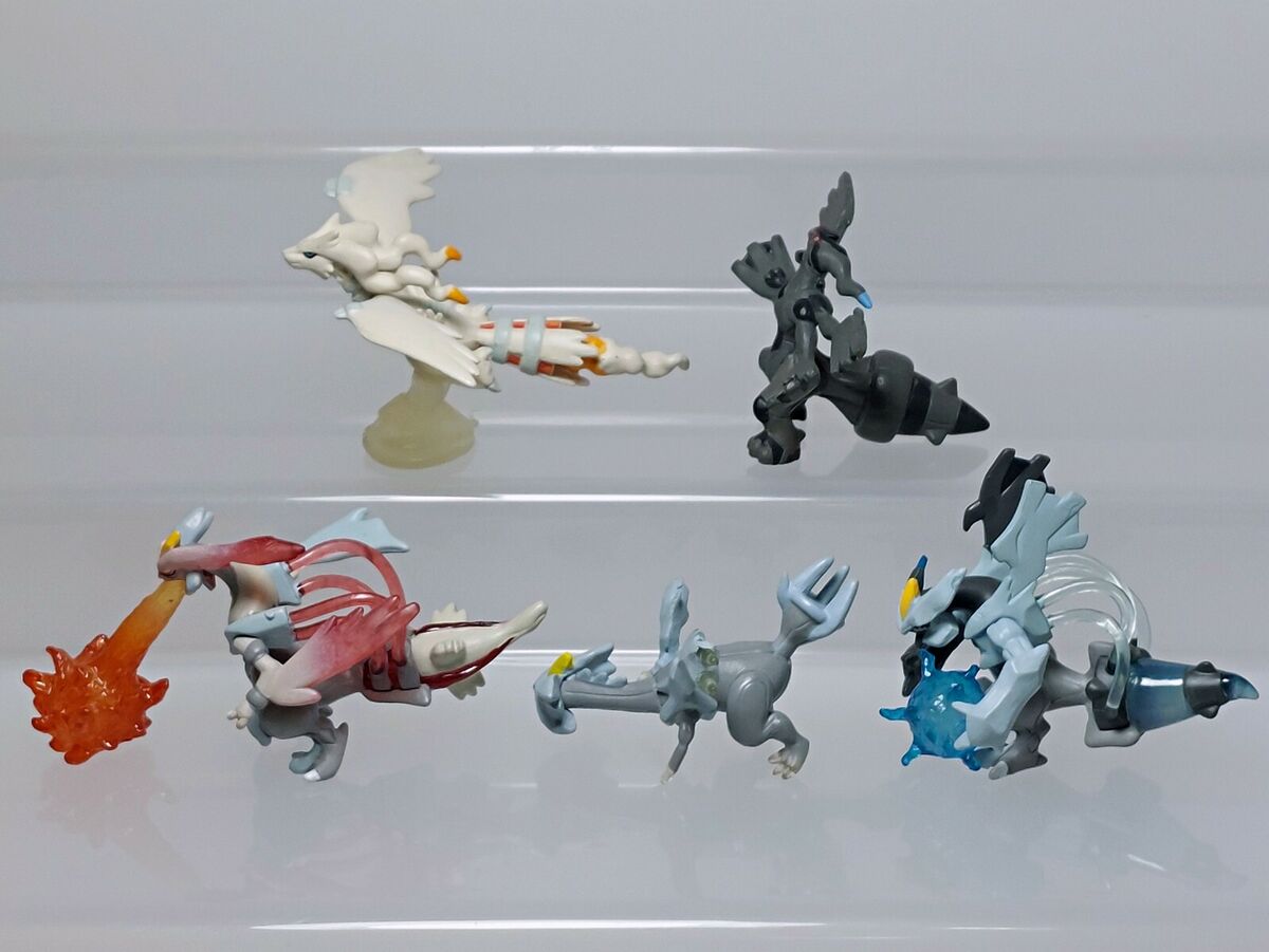 reshiram, zekrom, kyurem, black kyurem, and white kyurem (pokemon)