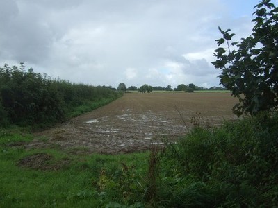 Photo 6x4 Damp field off Stone Road Hockering  c2017