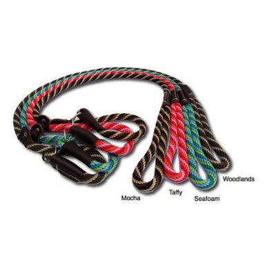 Mendota Slip Lead