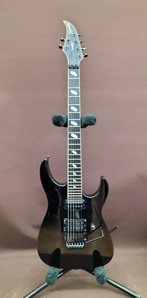 CAPARISON DELLINGER PROMINENCE Electric Guitar | eBay CAPARISON DELLINGER PROMINENCE Electric Guitar | eBay