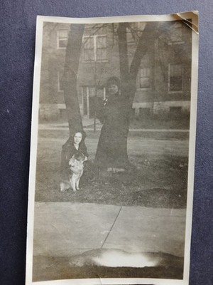 Early 20th Century Photo Bald Mound IL Girl and Large Dog 1497