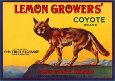 Upland San Bernardino California Coyote Lemon Citrus Fruit Crate Label Art Print