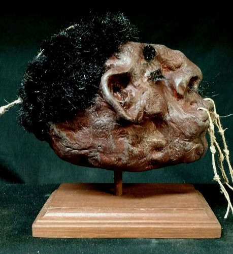 mummified pygmy man head display,sideshow gaff prop,freak,curio