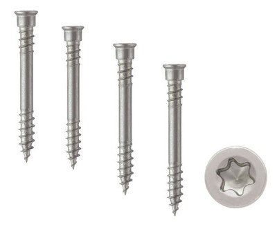 100 Terrassenschrauben Edelstahl A4 5,5x100/36 TX25 TBS Drill Holzschrauben V4A