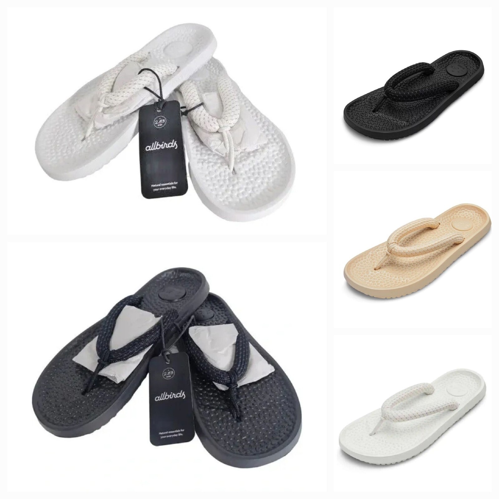 APL Infradito imbottito ALLBIRDS Sugar Zeffer adulto unisex beige nero bianco varietà