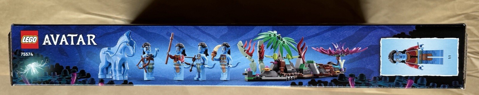 Picture 3 of 6