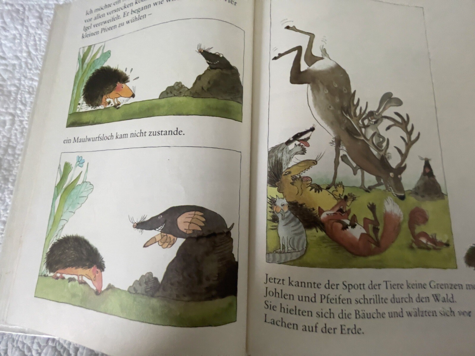 Bild 8 von 11