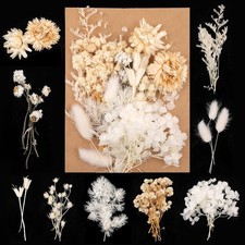 Nat&uuml;rliche Getrocknete Blumenmischung f&uuml;r DIY Handwerk und Scrapbooking