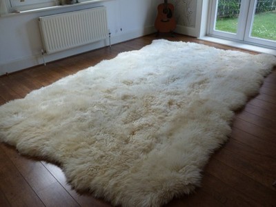 NEU 100 % echter großer britischer Schaffell-Teppich mit 12 Fellen Elfenbein