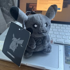 Pokemon Thunderbolt Project | eBay