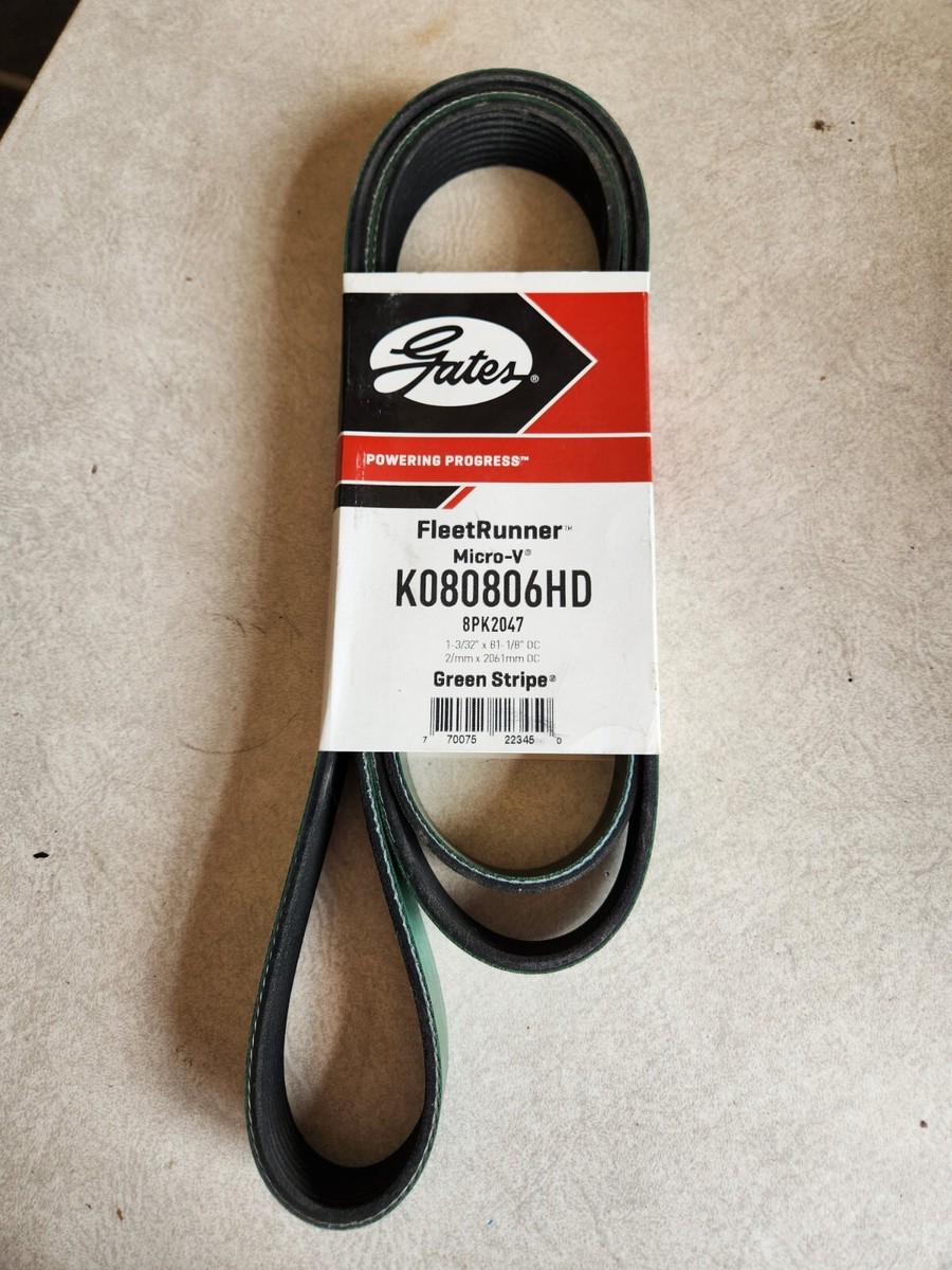 Gates K080806HD Serpentine Belt 8 Rib 1-3/32 x 81-1/8 in | eBay