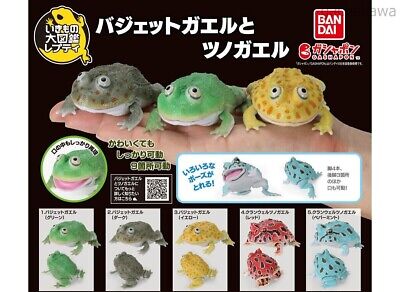 小物 Frog Ikimono Encyclopedia Repti Budget Frog and Ceratophrys Set of 5