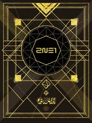 2NE1 CRUSH 2 CDs + DVD + Fotobuch Erste Limitierte Ausgabe