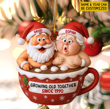 Custom Funny Couple Christmas Ornament 2025 Acrylic 2D Flat
