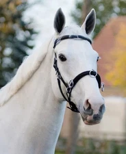 Brand New QHP Black Leather Cavesson Pony Size With Bit Clips From Germany