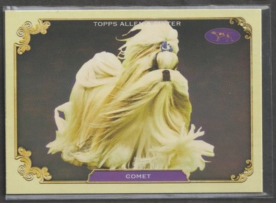 2024 Topps Allen & Ginter Stars of the Show - Comet