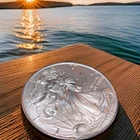 1996 SILVER EAGLE - 1oz .999 Pure - LOOKS GOOD BUT DON'T WAKE UP WITH THIS ONE!!