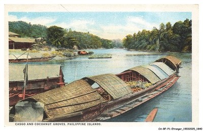 CA-BFP1-0921-PHILIPPINES - Casgo And Cocoanut Groves - Philippine Islands