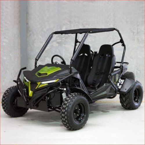 ZXK7 FORZA - 300cc Premium Full sized UTV Off road Buggy Automatic Water cooled - Picture 1 of 12