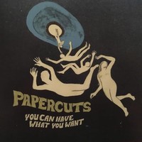 Papercuts - You Can Have What You Want - Vinyl Record - G3Z