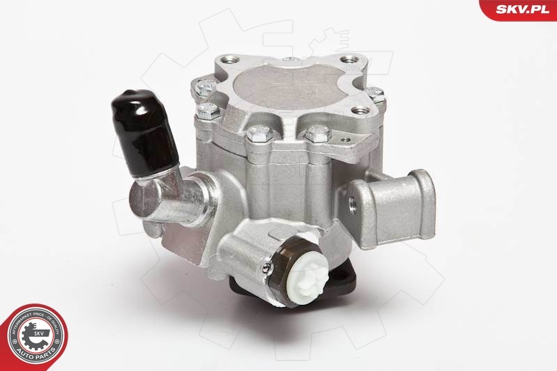 2x ✅Fits SKV GERMANY 10SKV044 POWER STEERING PUMP  ⭐UK Seller⭐