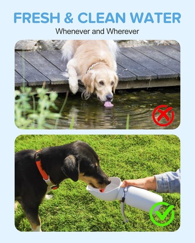 Portable Dog Water Bottle - Leak Proof, Foldable 19oz Travel Dispenser for Pets - Picture 4 of 6