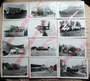Hagen Bros Circus-Photos/Photographs-Reprints-B&W-(Set of 12)