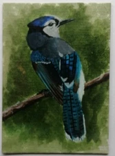 ACEO Original Painting   card Bird Hand painting 2.5/3.5