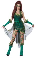 Lethal Beauty Poison Ivy Style Batman Adult Costume