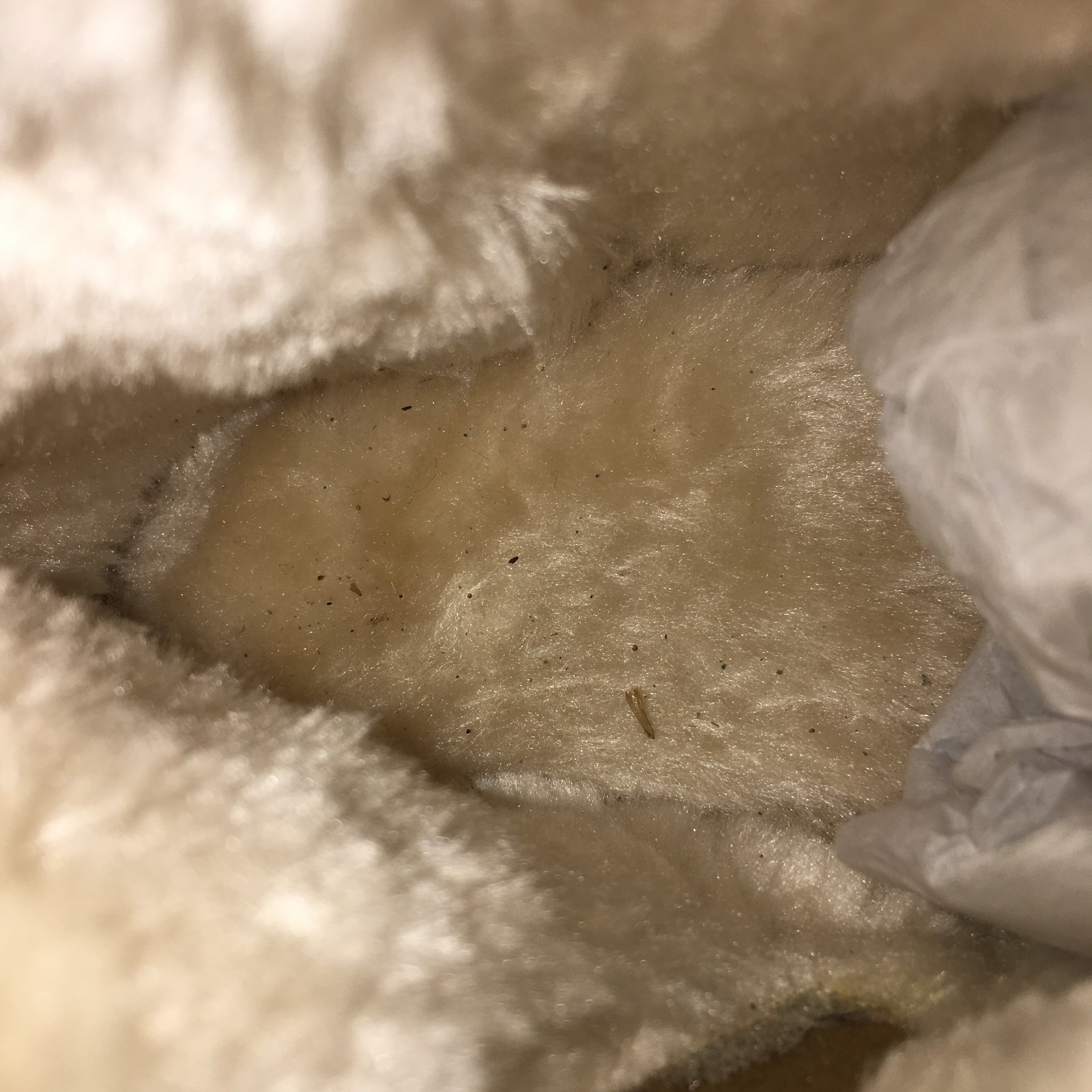 Universal Thread Charleigh Winter Boots Womens 6 … - image 15