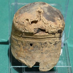 Nautiloid fossil: Cyrtoceras sicasicaense - Bolivia devonian cephalopod fossil