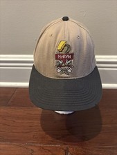 Marvin The Martian Director Vintage 90s Hat Fitted M Warner Bros Acme Clothing