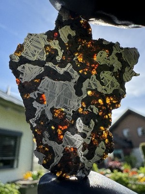 STEINBACH Meteorite IVA-un. iron silicated rare 8.5g  slice