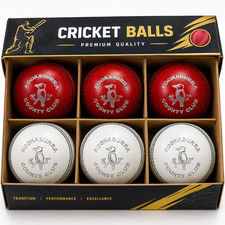 Pack of 6-Leather Cricket Balls for Practice and Training (156 g)-Free Shipping