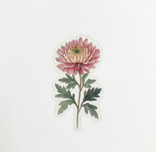 Aesthetic Pink Mophead Chrysanthemum Sticker Botanical Flower Journaling Decal