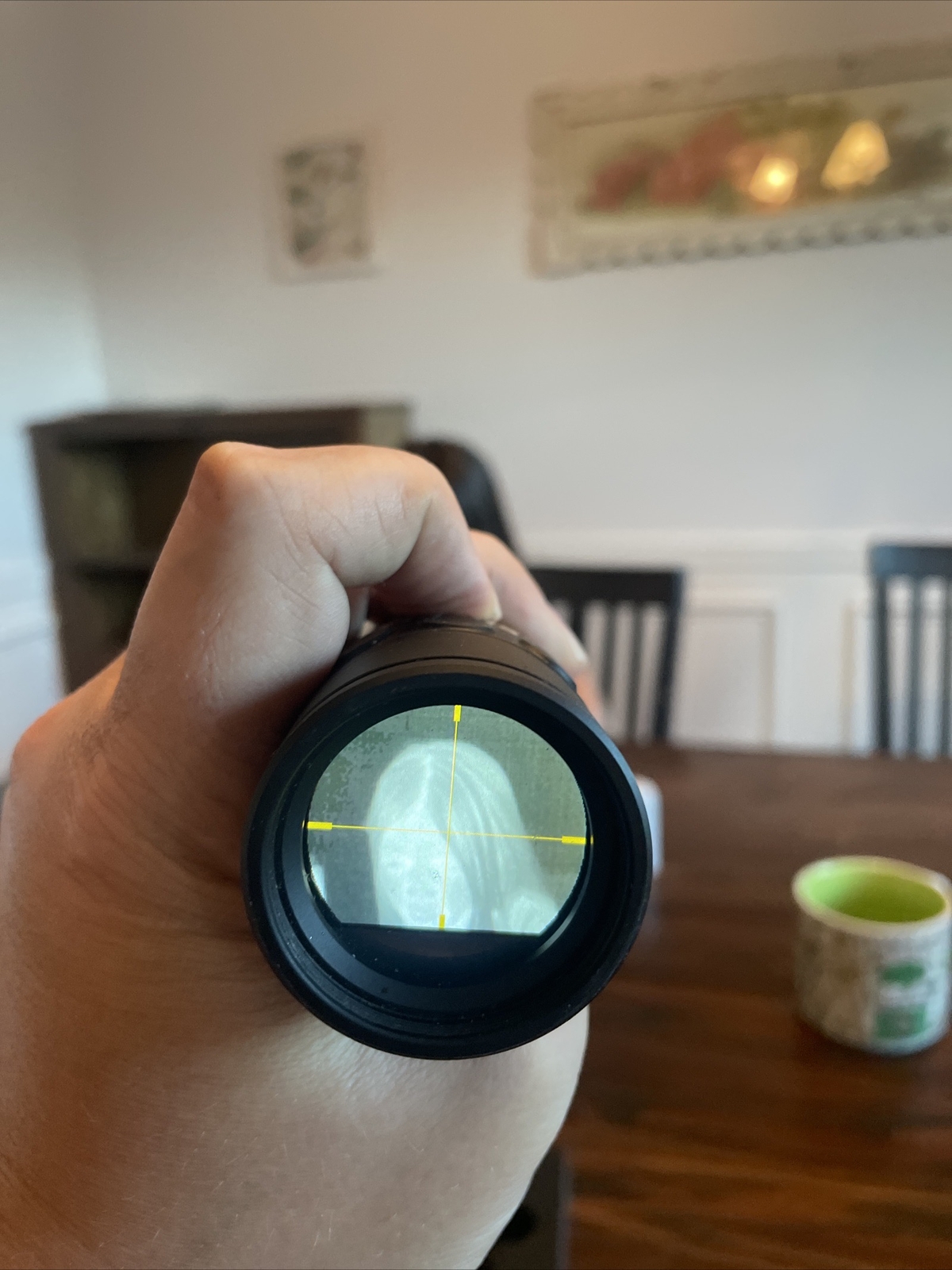 Leupold LTOTracker Thermal Imaging Game Tracking Monocular. Tacos Y Mas
