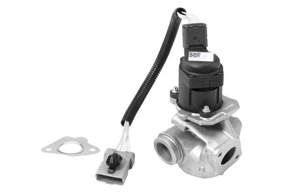 BorgWarner (Wahler) 710936R Agr-Ventil FüR Ford Volvo-image