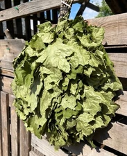 12 Brooms: 6 Oak 6 Birch SEASON 2025 Eichenreisig Birkenreisig whisk sauna banya