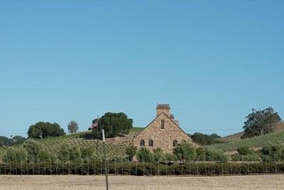 Photo:Central Valley California Vineyards Route 46 Niner Wine Estates 2013