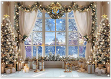 7X5Ft Fabric Christmas Winter Window Photography Backdrop