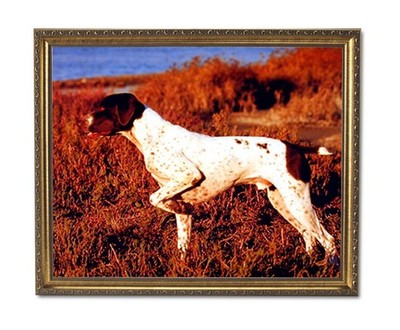 English Pointer Puppy Dog Kids Room Animal Wall Picture Gold Framed Art Print