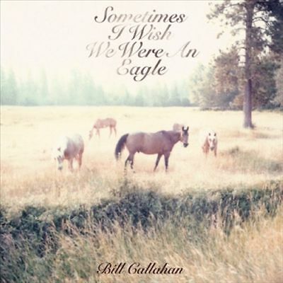 Sometimes I Wish We Were an Eagle by Bill Callahan (Record, 2009)